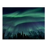 Northern Lights of Alaska Postcard