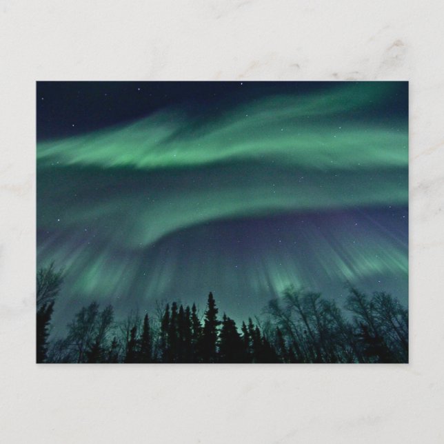 Northern Lights of Alaska, ZTD Postcard (Front)