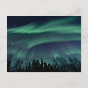 Northern Lights of Alaska, ZTD Postcard