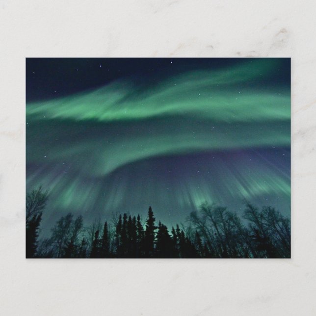 Northern Lights of Alaska, ZTD Postcard (Front)