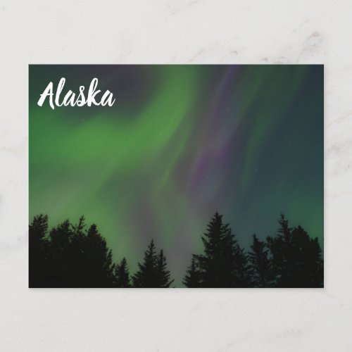 Northern Lights over Alaska Postcard