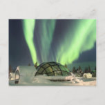 Northern Lights Over Finland Postcard at Zazzle