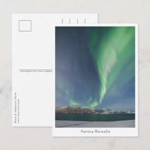 Northern Lights Postcard