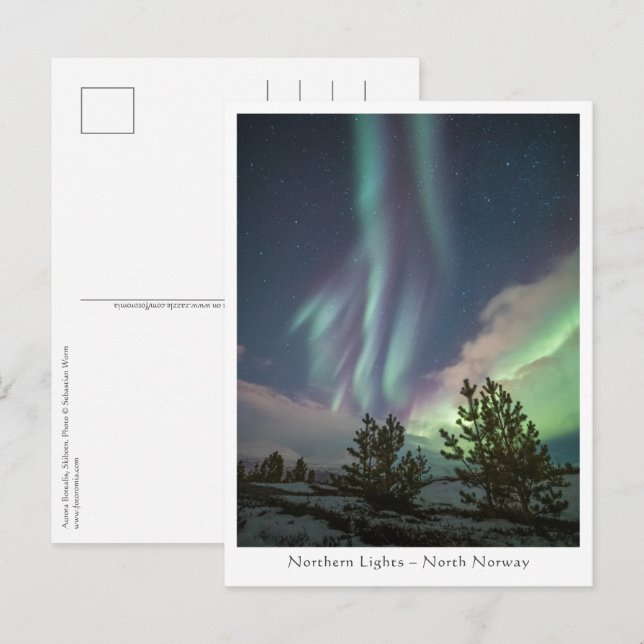 Northern Lights Postcard (Front/Back)