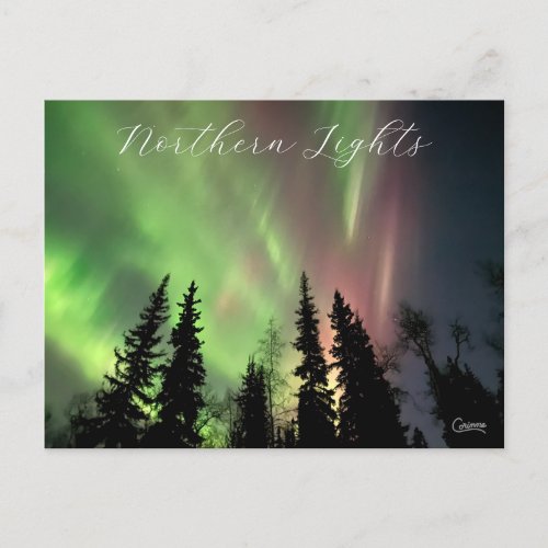 Northern Lights _ Postcard