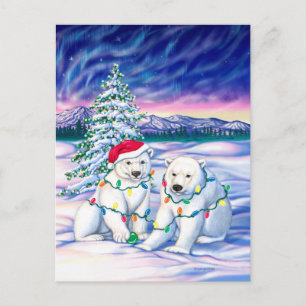 Northern Lights Postcard