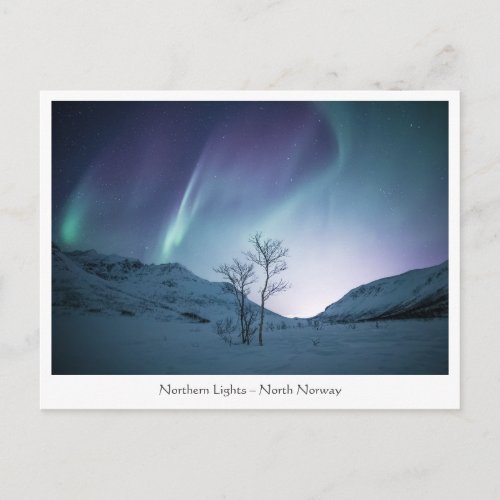 Northern Lights Postcard