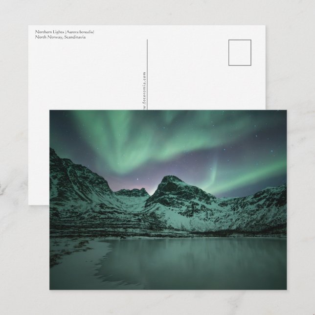 Northern Lights Postcard (Front/Back)