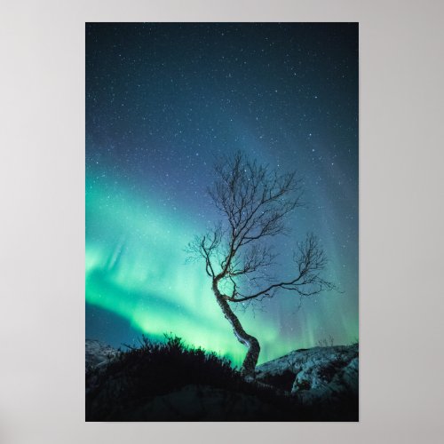 Northern Lights Poster