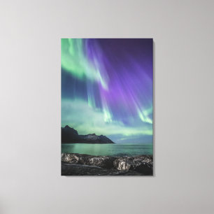 Northern Lights Senja Canvas Print