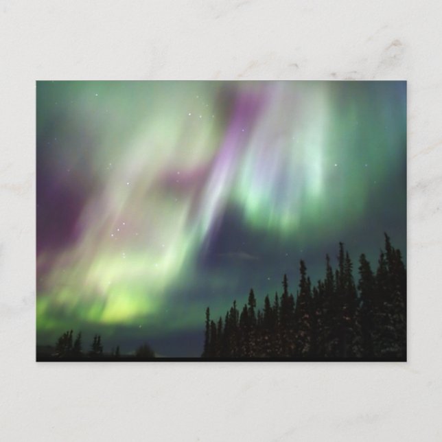 Northern Lights Sky Peace Love Winter Photograph Postcard (Front)