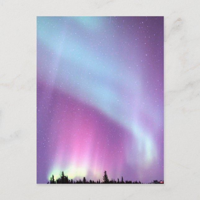 Northern Lights Sky Winter Alaska Stars Postcard (Front)