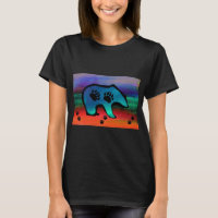 Northern Lights Spirit Bear