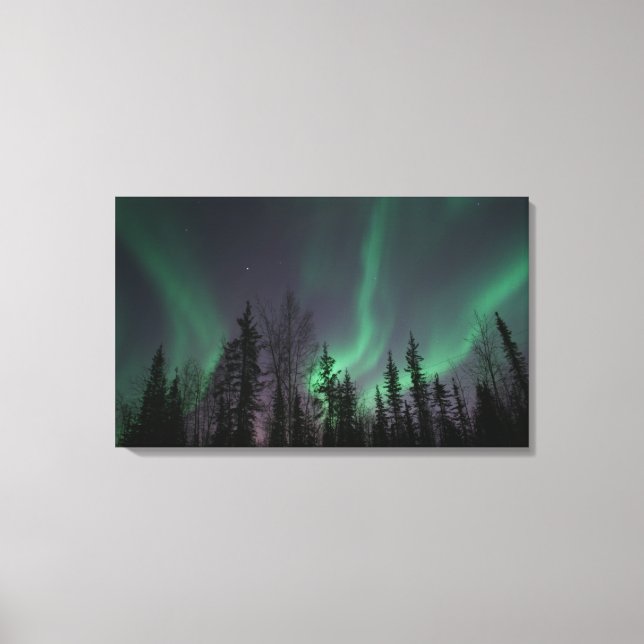 Northern Lights through the Trees Canvas Print (Front)