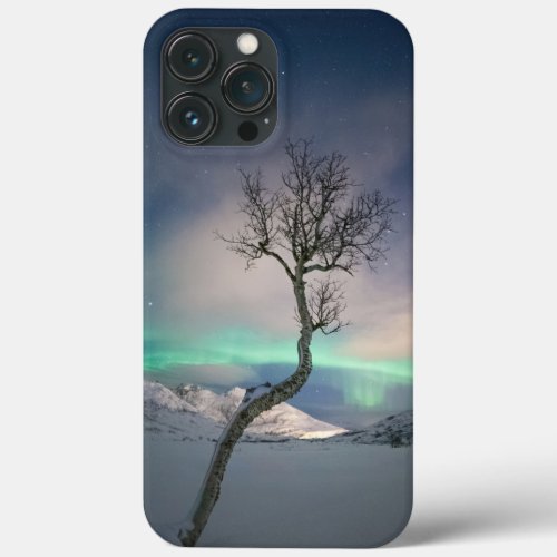 Northern Lights Tree iPhone 13 Pro Max Case