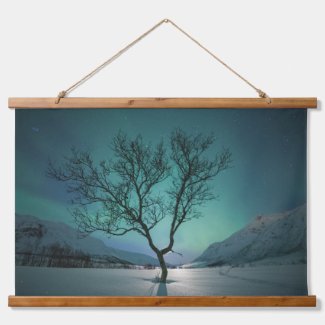 Northern Lights Tree
