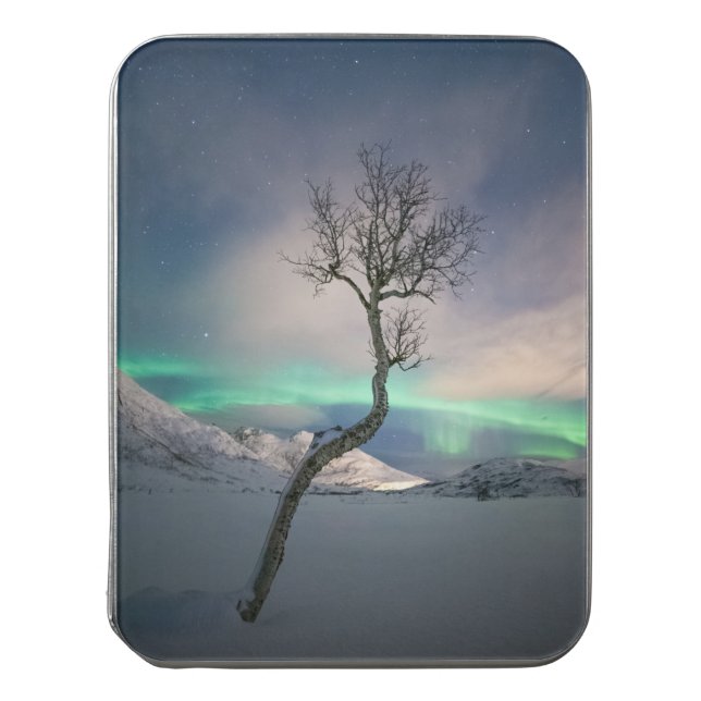 Northern Lights Tree Jigsaw Puzzle (Lid Vertical)
