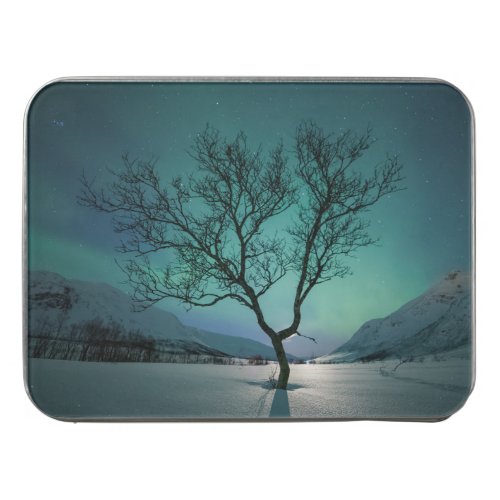 Northern Lights Tree Jigsaw Puzzle