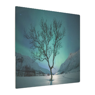 Northern Lights Tree Metal Print