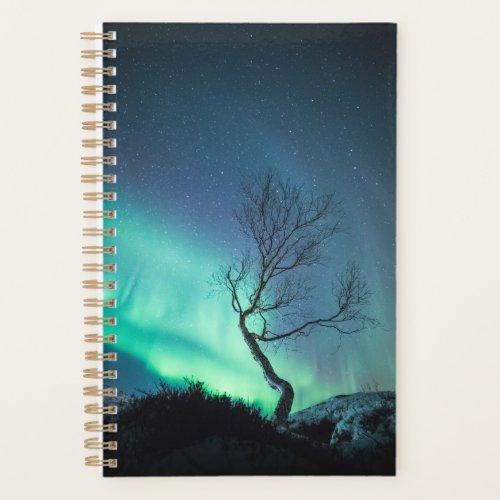 Northern Lights Tree Planner