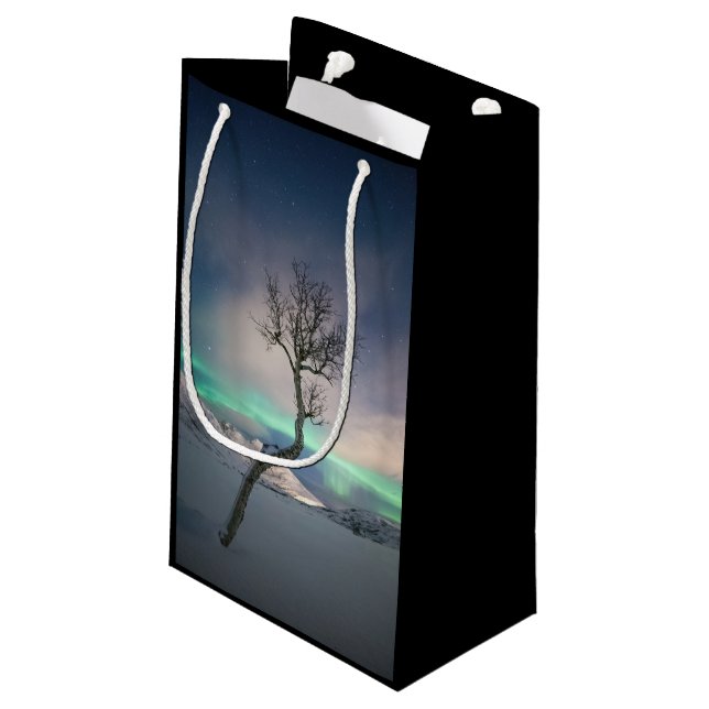 Northern Lights Tree Small Gift Bag (Back Angled)