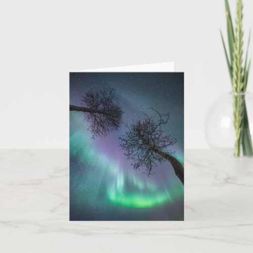 Northern Lights Trees Card