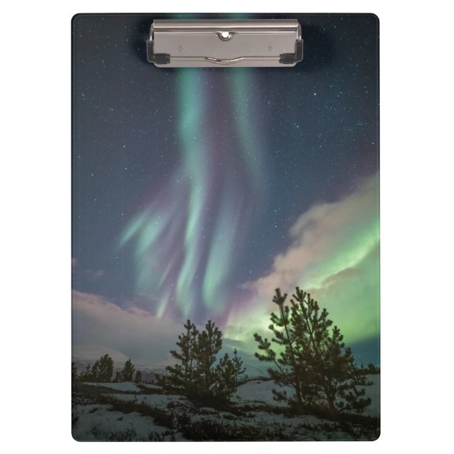 Northern Lights Trees Clipboard (Front)