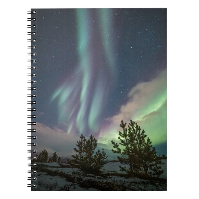 Northern Lights Trees Notebook (Front)