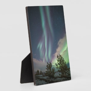 Northern Lights Trees Plaque