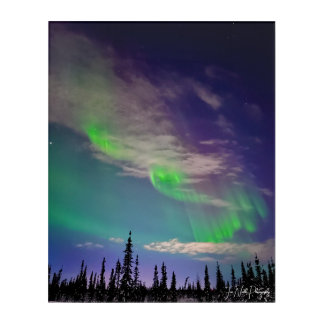 Northern Lights under the Alaskan sky Acrylic Print