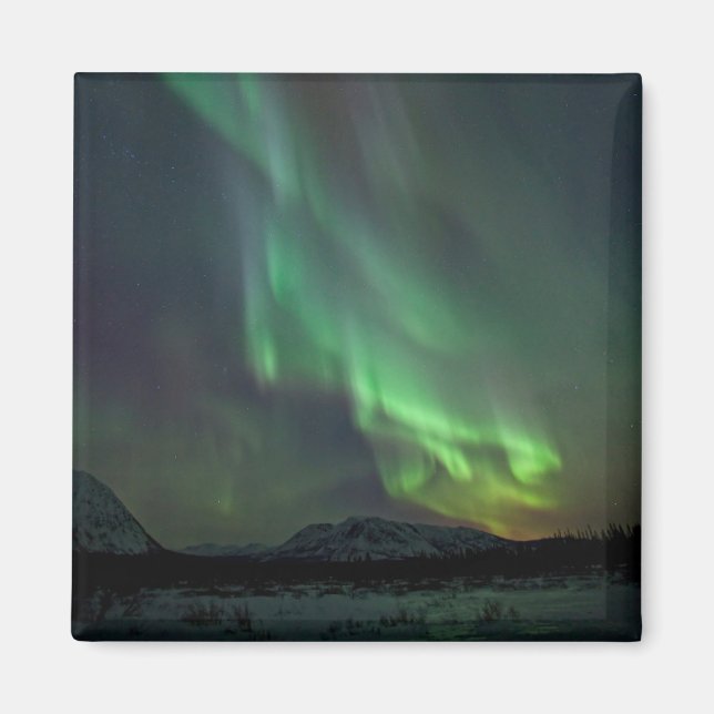 Northern Lights | Whitehorse, Yukon Magnet (Front)