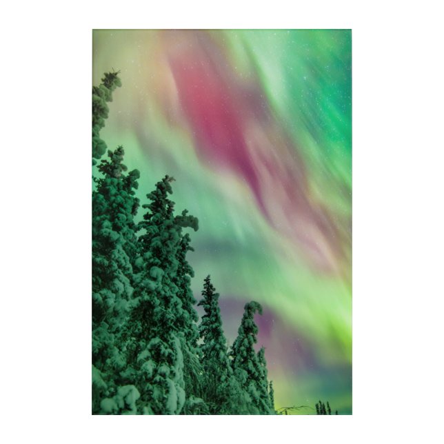 Northern Lights | Winter in Glennallen, Alaska Acrylic Print (Front)