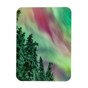 Northern Lights Winter in Glennallen, Alaska Magnet