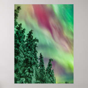 Northern Lights Winter in Glennallen, Alaska Poster