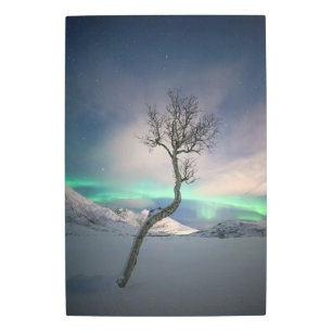 Northern Lights Winter Tree Metal Print