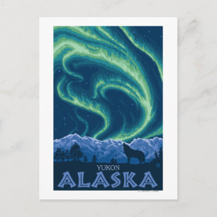Northern Lights - Yukon, Alaska Postcard
