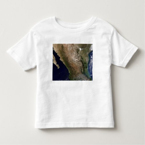 Northern Mexico 2 Toddler T_shirt