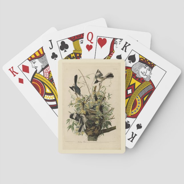 Northern Mocking Bird, Audubon's Birds of America Poker Cards (Back)