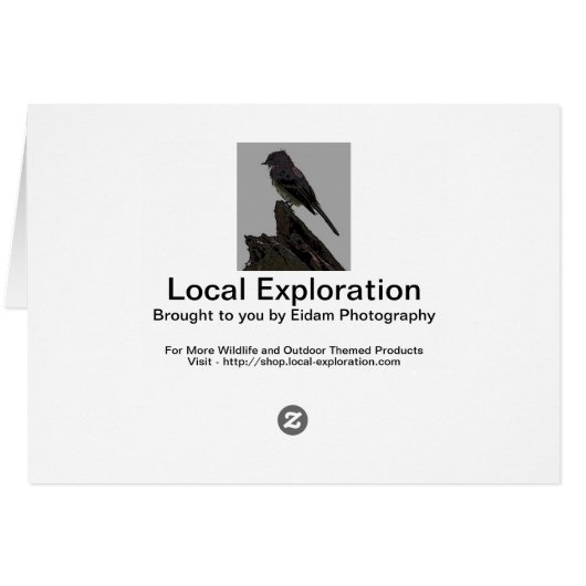 Northern Mockingbird (Back Horizontal)