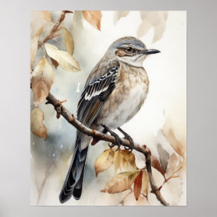 Northern Mockingbird Bird Art Print Poster