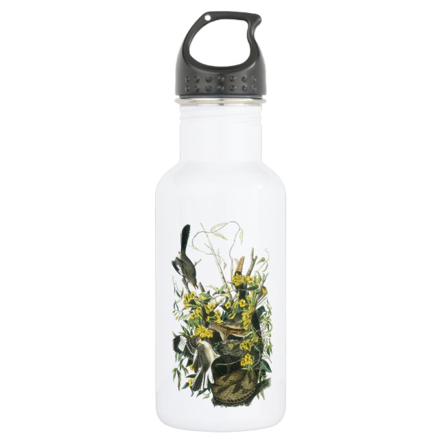 Northern Mockingbird by Audubon Water Bottle (Front)