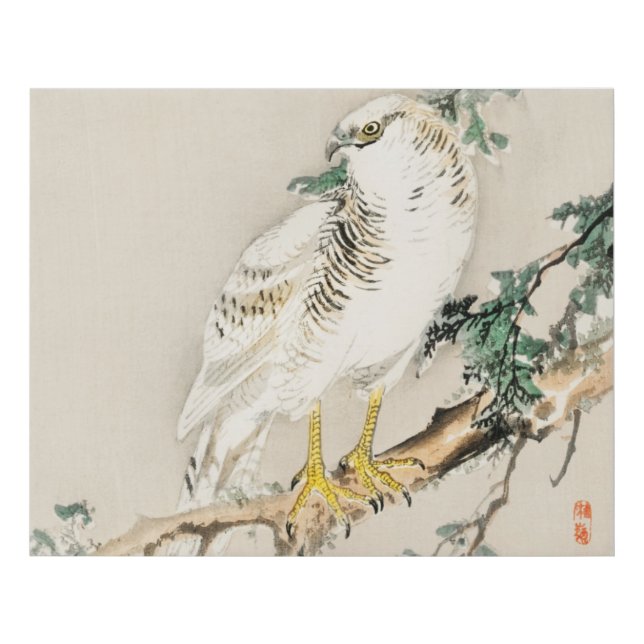 Northern mockingbird by Kōno Bairei Faux Canvas Print (Front)