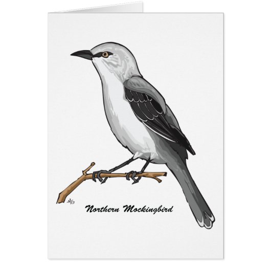 NORTHERN MOCKINGBIRD CARDS (Front)