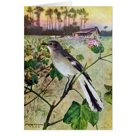 Northern Mockingbird Cards (Front)