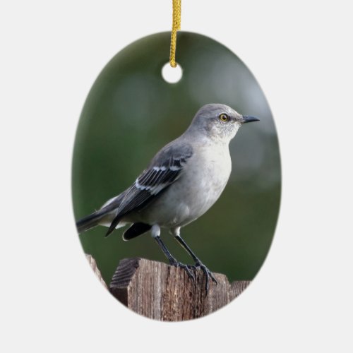 Northern Mockingbird Ceramic Ornament