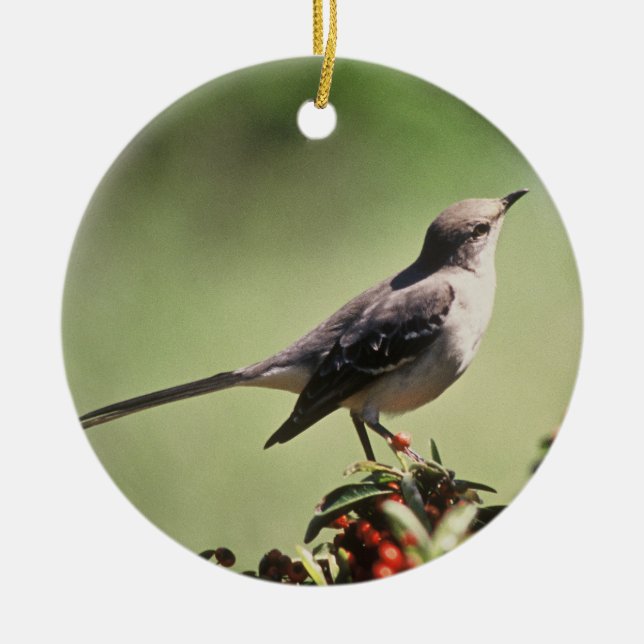 Northern mockingbird ceramic ornament (Front)