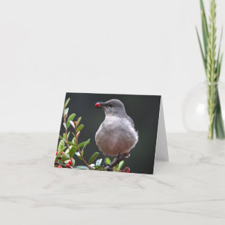 Northern Mockingbird - Joe Sweeney - card