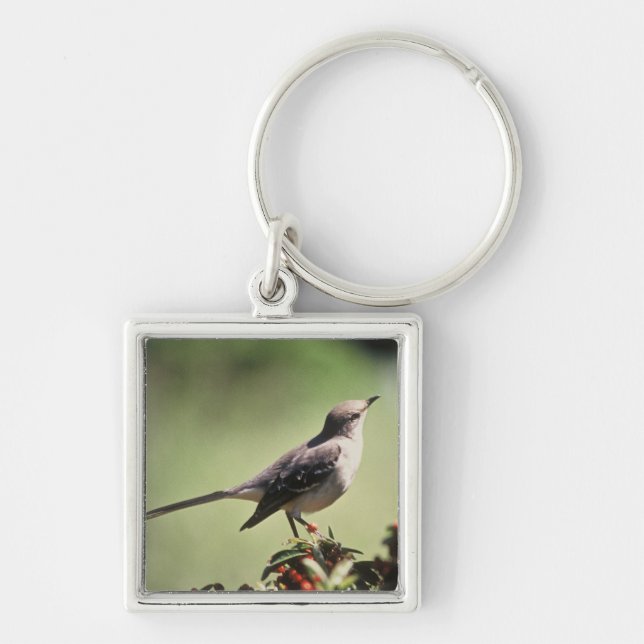 Northern mockingbird keychain (Front)