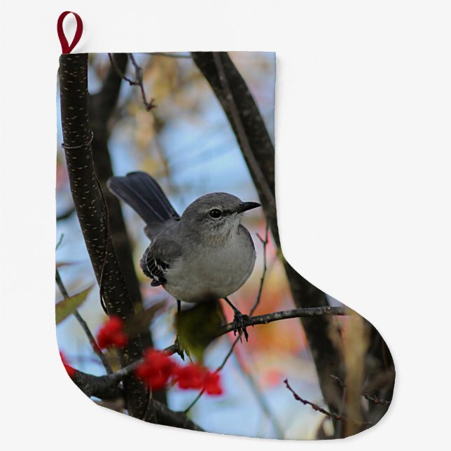 Northern mockingbird large christmas stocking (Front)