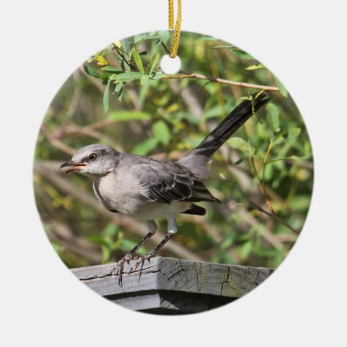 Northern Mockingbird Ornament